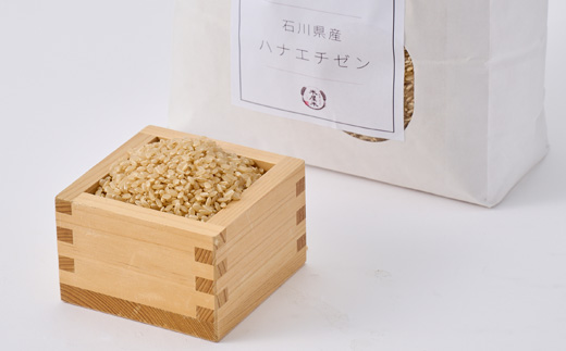 【軽やかな甘みと食べやすさ】石川県野々市市産ハナエチゼン令和7年産玄米 3kg【1685131】