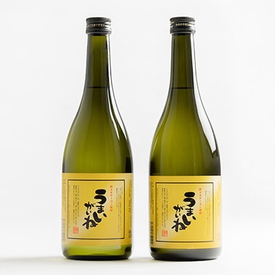 うまいがいね　720ml×2本【1206023】