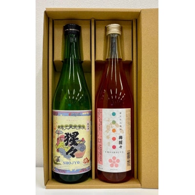 【野々市市の地酒】純米酒「猩々」と梅酒「梅猩々」お楽しみセット(各720ml　1本)【1701979】