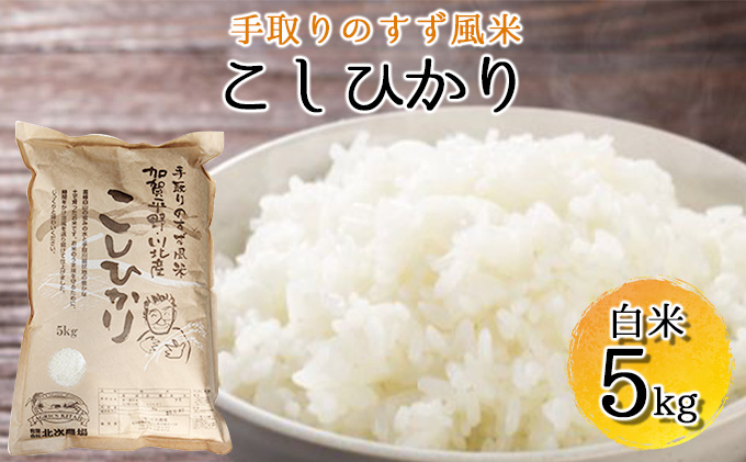 【令和7年度産】手取りのすず風米こしひかり　白米5kg