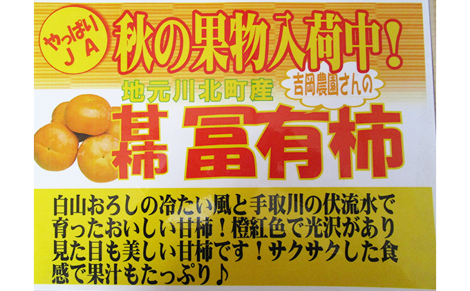 ãå·åçºç£ãå岡ããã¡ã®å¯ææ¿ãçŽ4kg æç© ãã«ãŒã æå® ãã¶ãŒã ãã〠åœç£ æ¥æ¬ç£ é£å é£ã¹ç© çæ¿ ãµã¯ãµã¯ 飿 æ¯ããã ç³å·çç£ çŽé ç£å°çŽé ç§ã®å³èŠ