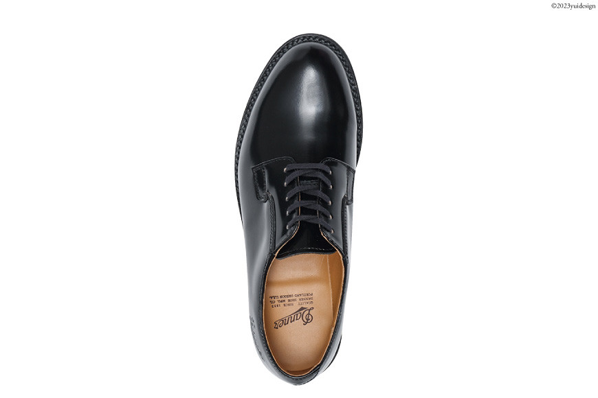 DANNER 紳士靴 ポストマンブラック【 25.0cm 】 [STUMPTOWN渋谷店 石川県 志賀町 CG4022-3] 靴 シューズ 革靴 レザーシューズ メンズ 男性用 黒