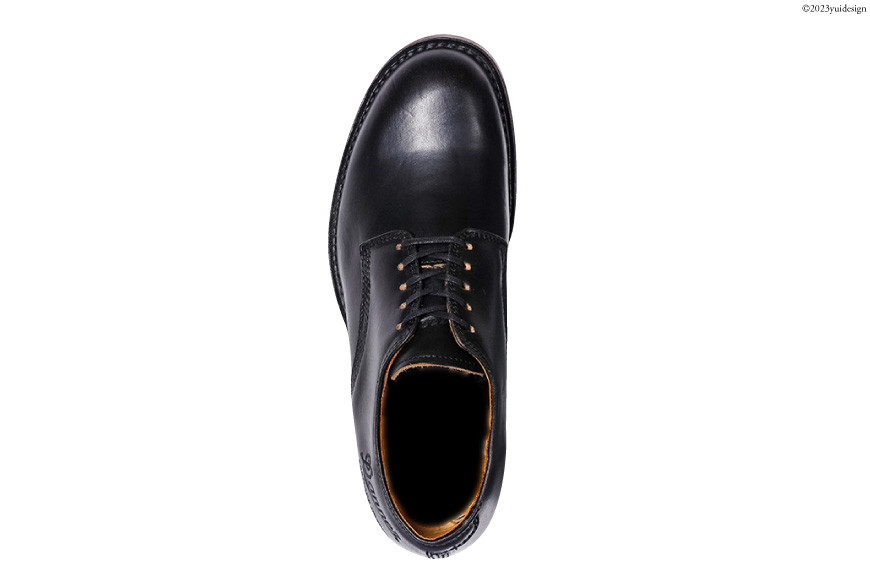 DANNER 紳士靴 マナワ ブラック【25.5cm】[STUMPTOWN渋谷店 石川県 志賀町 CG4017-3] 靴 シューズ 革靴 レザーシューズ メンズ 男性用 黒