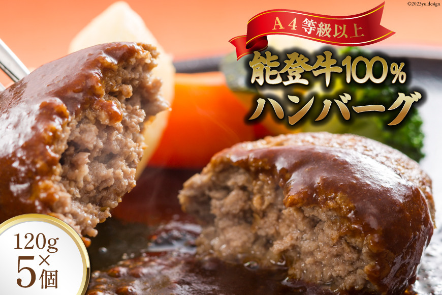 ハンバーグ 特選能登牛(A4等級以上)100%ハンバーグ 120g 5個 計600g 冷凍 [寺岡畜産 (てらおか風舎) 石川県 志賀町 AA4199] 能登牛 肉 お肉 おにく 牛肉 牛 A4 デミグラスソース 真空パック 個包装 化粧箱 てらおか ふるさと納税