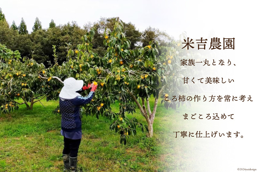 干し柿 令和7年 ころ柿 500g [米吉農園 石川県 志賀町 BA4133] 令和7年産 干柿 枯露柿 柿 かき 果物 くだもの ドラフルーツ 500グラム ふるさと納税