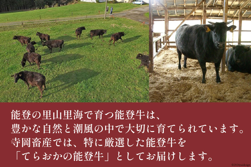 ハンバーグ 特選能登牛(A4等級以上)100%ハンバーグ 120g 5個 計600g 冷凍 [寺岡畜産 (てらおか風舎) 石川県 志賀町 AA4199] 能登牛 肉 お肉 おにく 牛肉 牛 A4 デミグラスソース 真空パック 個包装 化粧箱 てらおか ふるさと納税
