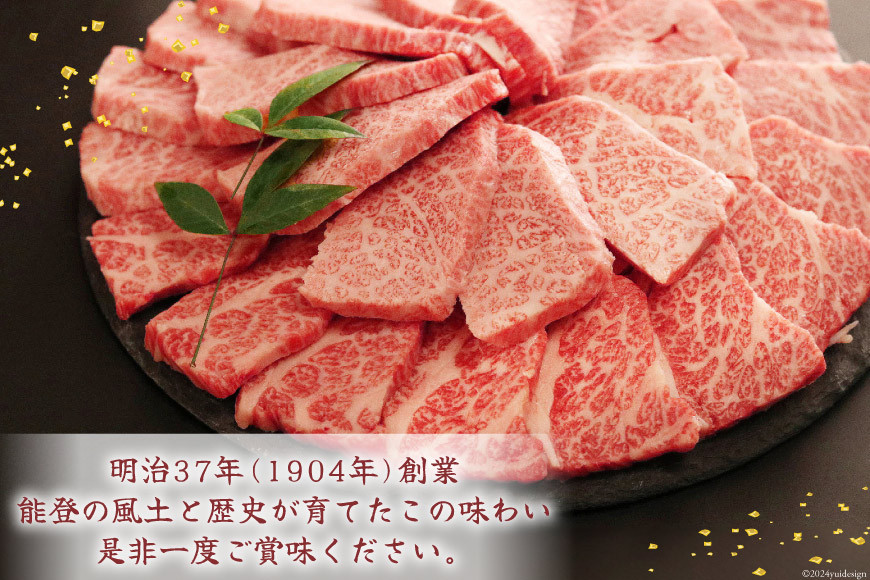 ハンバーグ 特選能登牛(A4等級以上)100%ハンバーグ 120g 5個 計600g 冷凍 [寺岡畜産 (てらおか風舎) 石川県 志賀町 AA4199] 能登牛 肉 お肉 おにく 牛肉 牛 A4 デミグラスソース 真空パック 個包装 化粧箱 てらおか ふるさと納税