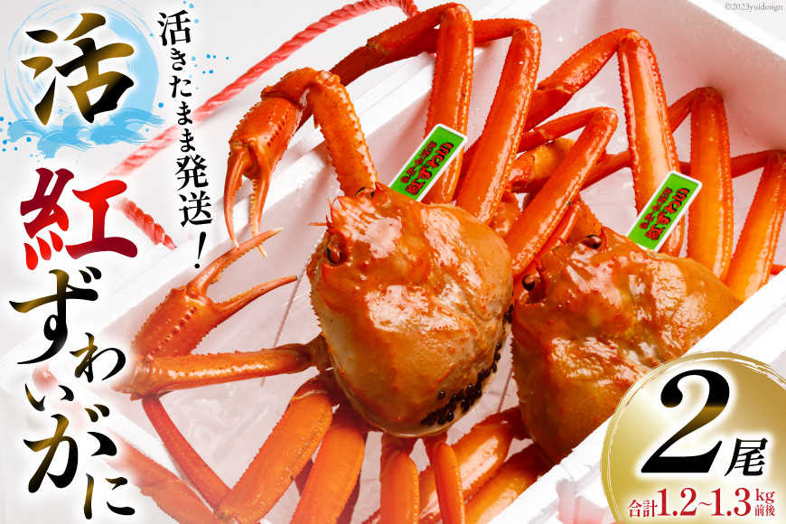 【能登半島 漁協直送】 活 紅ズワイガニ 2尾（中サイズ） 計1.2〜1.3kg前後 [JF西海 石川県 志賀町 AM4217] 蟹 カニ かに ズワイガニ ずわいがに