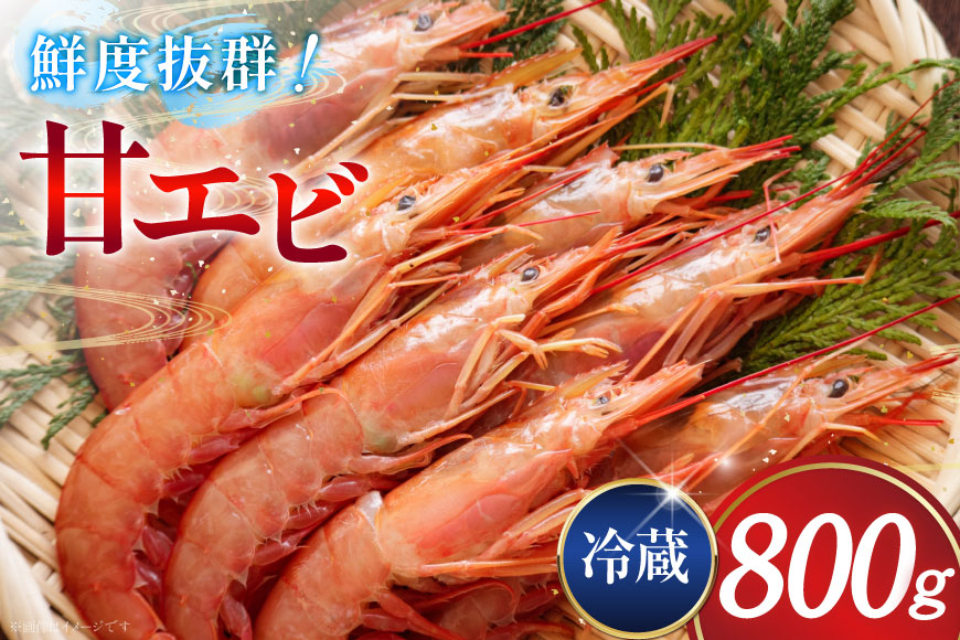 甘エビ 冷蔵 800g [小川水産 石川県 志賀町 CM6006] 甘えび あまえび エビ 海老 甘海老