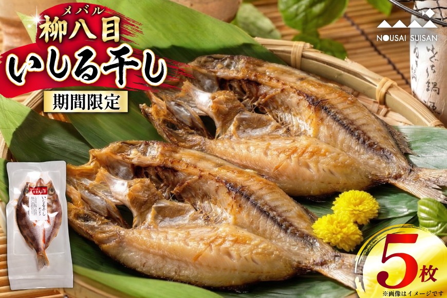 柳八目（メバル）いしる干し 5枚 [能西水産 石川県 志賀町 AD4112] 魚 干物 いしる干し メバル めばる