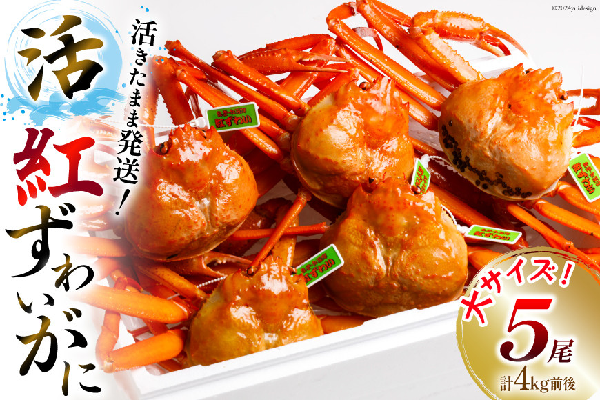 【能登半島 漁協直送】 活 紅ズワイガニ 5尾(大サイズ) 計 4kg 前後 [JF西海 石川県 志賀町 AM4221] 蟹 カニ かに ずわいがに ズワイガニ
