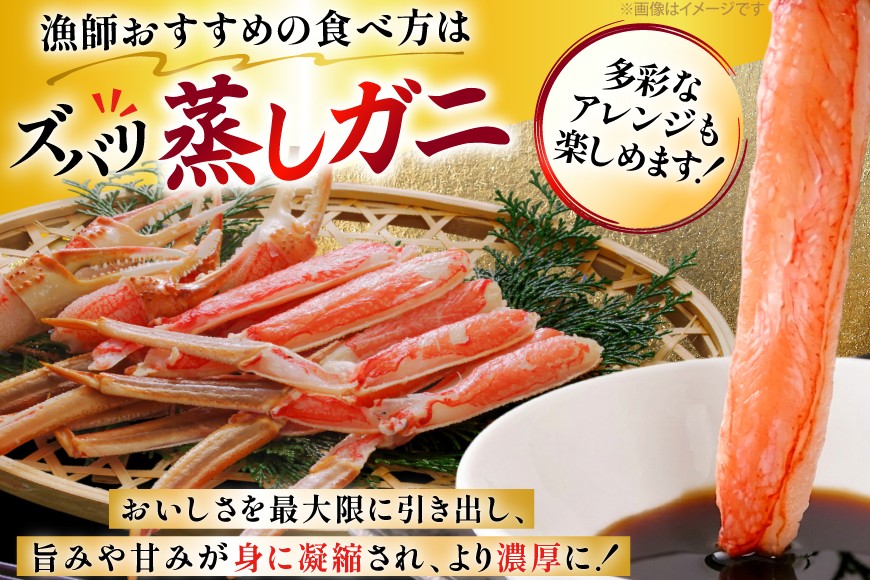 カニ 訳あり 朝どれ生紅ズワイガニ 2〜4尾 計1.5kg以上 (1尾サイズ：500g〜1kg以上) [JF西海 石川県 志賀町 sk17jkf30064] かに 蟹 紅ズワイ 紅ズワイガニ 生 ズワイ ずわい ずわい蟹 ズワイガニ 姿 カニ鍋 カニしゃぶ カニ爪 規格外 足折れ 魚介 海産物 能登