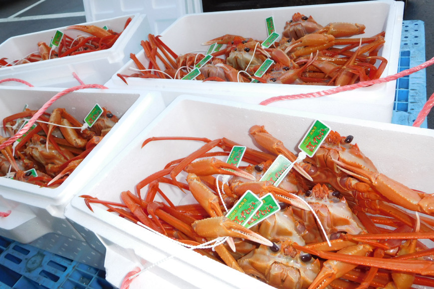 【能登半島 漁協直送】 ボイル 紅ズワイガニ 4尾 (大サイズ) 計2.5kg 前後 [JF西海 石川県 志賀町 AM4224] 蟹 カニ かに ズワイガニ ずわいがに 