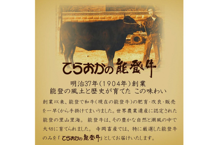 ハンバーグ 特選能登牛(A4等級以上)100%ハンバーグ 120g 5個 計600g 冷凍 [寺岡畜産 (てらおか風舎) 石川県 志賀町 AA4199] 能登牛 肉 お肉 おにく 牛肉 牛 A4 デミグラスソース 真空パック 個包装 化粧箱 てらおか ふるさと納税