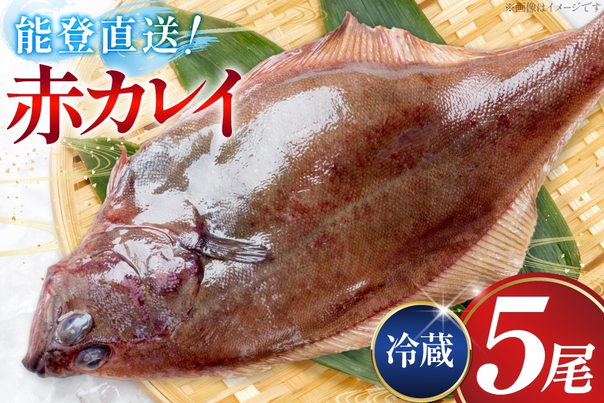 カレイ 能登の赤カレイ 5尾 (1尾200〜300g) 計1kg程度   [小川水産 石川県 志賀町 sk17bdm840009] かれい 赤カレイ  魚 さかな 魚介類 鮮魚 煮付け 焼き魚