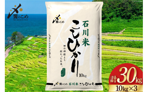 米 令和7年 石川米 こしひかり 精米 10kg 3袋 計 30kg [中橋商事 石川県 宝達志水町 38601200] お米 こめ コメ 令和7年産 コシヒカリ 白米 ごはん ご飯 10キロ 30キロ 能登 石川