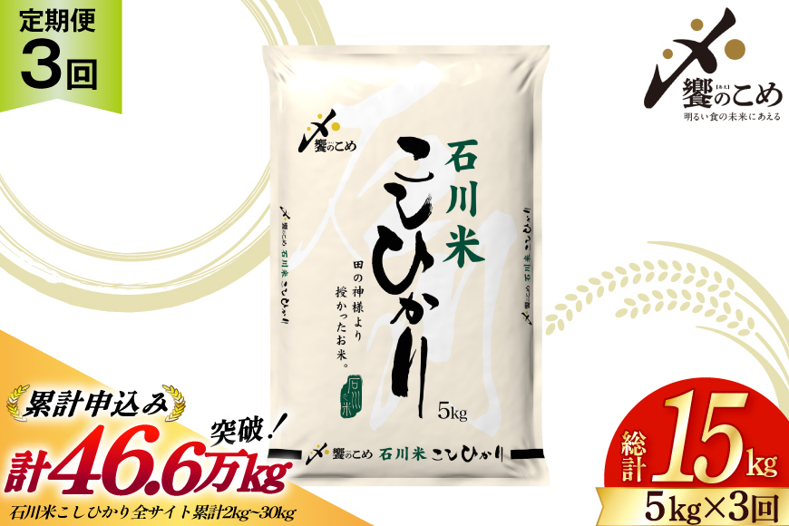 米 定期便 石川米こしひかり【穂立】5kg×3回 総計15kg [中橋商事 石川県 宝達志水町 38601207] コシヒカリ お米 コメ 3ヶ月 白米 精米 おこめ こめ 能登 5kg 5キロ
