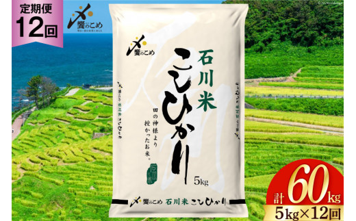 米 定期便 石川米こしひかり【穂立】5kg×12回 総計60kg [中橋商事 石川県 宝達志水町 38600814]コシヒカリ お米 コメ 12ヶ月 白米 精米 おこめ こめ 能登 5kg 5キロ
