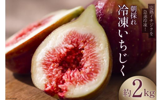 【期間限定発送】 完熟 いちじく 2kg 冷凍 [モアショップヤマモト 石川県 宝達志水町 38600724] 冷凍いちじく イチジク 無花果 果物 くだもの フルーツ デザート ジャム コンポート スムージー シャーベット 石川県産