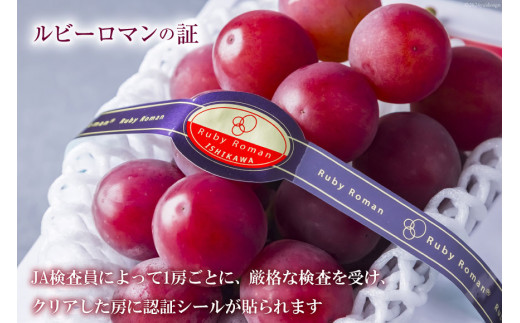 【期間限定発送】 超高級 ぶどう ルビーロマン 1房 約500g 化粧箱入 [モアショップヤマモト 石川県 宝達志水町 38601385] ブドウ 葡萄 ギフト 贈答用 贈答 果物 くだもの フルーツ 贈答品 美味しい 甘い 大粒 石川