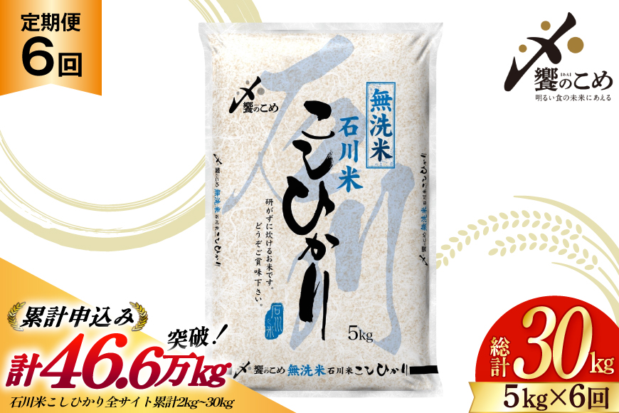 【6回 無洗米 定期便 】石川県産 こしひかり 5kg×6回 総計30kg [中橋商事 石川県 宝達志水町 38601337] 米 お米 白米 精米 ご飯 ごはん コシヒカリ
