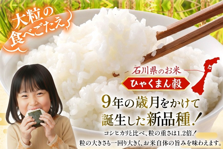 米 定期便 無洗米 ひゃくまん穀 5kg × 6回 総計30kg [中橋商事株式会社 石川県 宝達志水町 38601383] お米 コメ こめ kome ごはん 無洗 定期 6ヶ月 ひゃくまんごく 5キロ 30キロ 能登