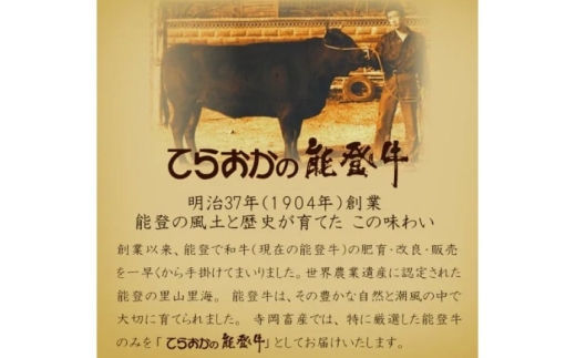 牛肉 能登牛 ロース (4〜5等級) しゃぶしゃぶ用 450g [寺岡畜産 石川県 宝達志水町 38601307] 肉 お肉 しゃぶしゃぶ しゃぶしゃぶ肉 ロース 牛ロース 牛 国産 冷凍 和牛
