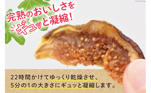 【期間限定発送】 ドライフルーツ いちじく 50g [モアショップヤマモト 石川県 宝達志水町 38601069] 無添加 ドライ イチジク 無花果 期間限定 砂糖不使用 お菓子 おつまみ 果物 フルーツ