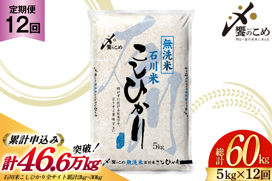 【12回 無洗米 定期便 】石川県産 こしひかり 5kg×12回 総計60kg [中橋商事 石川県 宝達志水町 38601338] 米 お米 白米 精米 ご飯 ごはん コシヒカリ