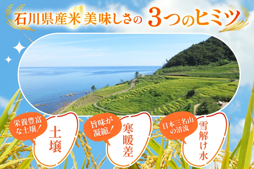 米 定期便 石川のお米 食べ比べ 5kg 3回 計 15kg こしひかり ゆめみづほ ひゃくまん穀 [中橋商事株式会社 石川県 宝達志水町 38601399] 精米 白米 こしひかり お米 おこめ こめ コメ 定期 3ヶ月 ３ヶ月 3か月 5キロ ５キロ