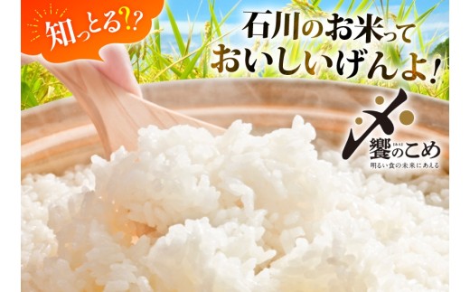 米 令和7年 石川米 こしひかり 精米 5kg [中橋商事 石川県 宝達志水町 38601197] お米 こめ コメ 令和7年産 コシヒカリ 白米 ごはん ご飯 5キロ 能登 石川
