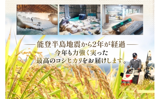 米 定期便 能登米 こしひかり 5kg ×3回 総計15kg [中橋商事 石川県 宝達志水町 38601206] コシヒカリ お米 コメ 3ヶ月 3か月 白米 精米 hurusatonouzei おこめ こめ