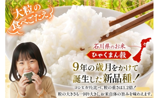 米 定期便 ひゃくまん穀 5kg × 6回 総計30kg [中橋商事株式会社 石川県 宝達志水町 38601380] お米 コメ こめ kome ごはん 定期 6ヶ月 ひゃくまんごく 5キロ 30キロ 能登