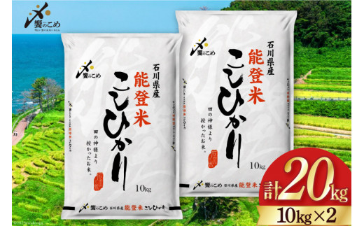 米 令和7年 能登米 こしひかり 精米 10kg 2袋 計 20kg [中橋商事 石川県 宝達志水町 38601195] お米 こめ コメ 令和7年産 コシヒカリ 白米 ごはん ご飯 10キロ 20キロ 能登 石川