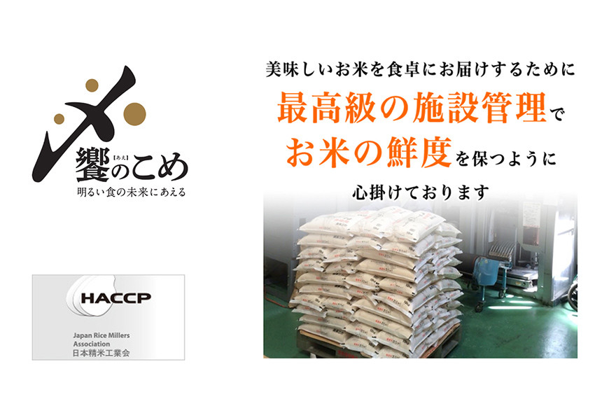 【期間限定発送】 米 令和7年 石川県産米 5kg×4種 計 20kg 精米 食べ比べ [中橋商事 石川県 宝達志水町 38601112] こしひかり コシヒカリ お米 こめ コメ 白米 ごはん 20キロ 石川