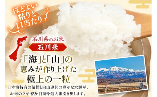 米 令和7年 無洗米 こしひかり 精米 5kg 2袋 計 10kg [中橋商事 石川県 宝達志水町 38601205] お米 こめ コメ 令和7年産 コシヒカリ 白米 ごはん ご飯 5キロ 10キロ 時短 むせんまい 能登 石川