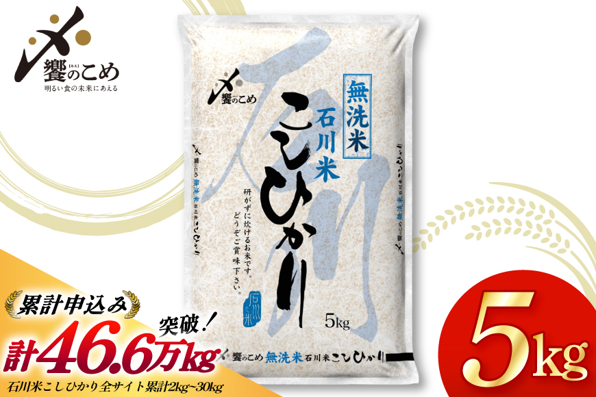 米 令和7年 無洗米 こしひかり 精米 5kg [中橋商事 石川県 宝達志水町 38601204] お米 こめ コメ 令和7年産 コシヒカリ 白米 ごはん ご飯 5キロ 時短 むせんまい 能登 石川