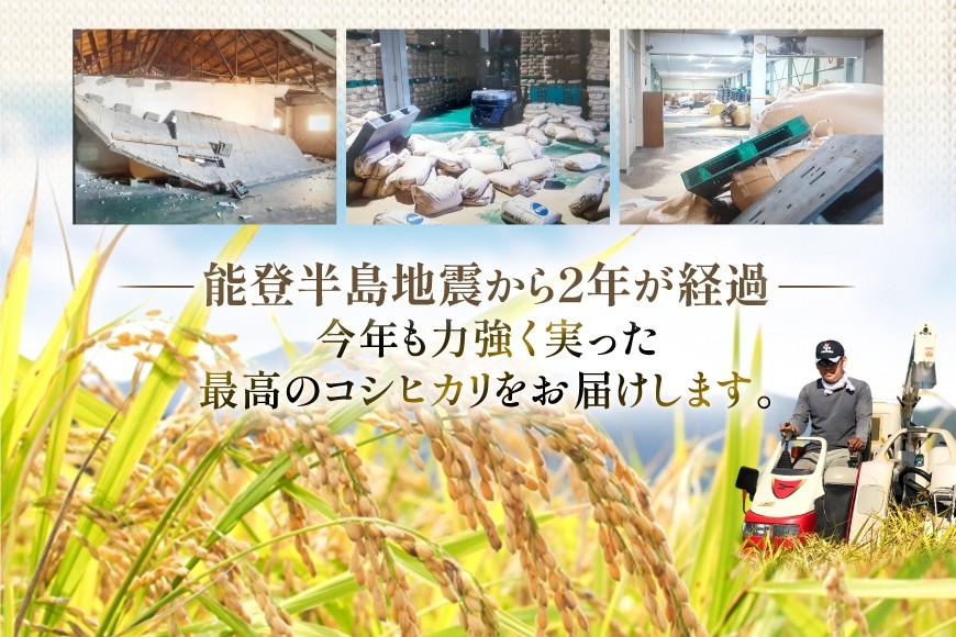 米 令和7年 能登米 こしひかり 精米 10kg [中橋商事 石川県 宝達志水町 38601194] お米 こめ コメ 令和7年産 コシヒカリ 白米 ごはん ご飯 10キロ 能登 石川