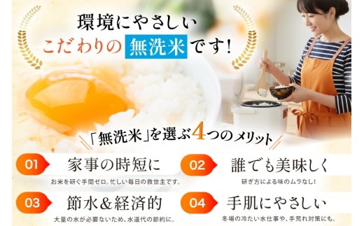 米 令和7年 無洗米 こしひかり 精米 5kg 2袋 計 10kg [中橋商事 石川県 宝達志水町 38601205] お米 こめ コメ 令和7年産 コシヒカリ 白米 ごはん ご飯 5キロ 10キロ 時短 むせんまい 能登 石川