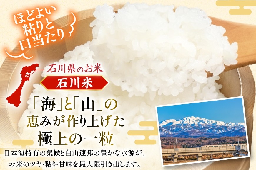 米 令和7年産 無洗米 石川米 こしひかり 2kg [中橋商事 石川県 宝達志水町 38601349] コシヒカリ お米 こめ コメ kome 能登 小容量 2キロ 令和7年 むせんまい