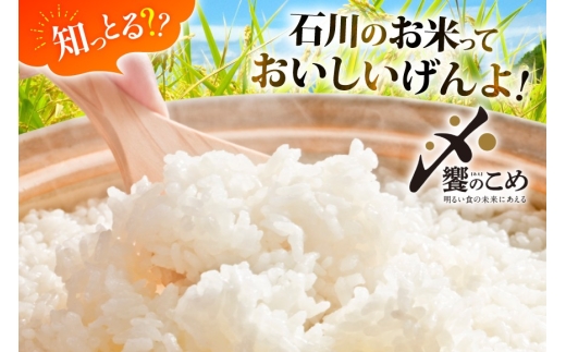 米 定期便 ひゃくまん穀 5kg × 6回 総計30kg [中橋商事株式会社 石川県 宝達志水町 38601380] お米 コメ こめ kome ごはん 定期 6ヶ月 ひゃくまんごく 5キロ 30キロ 能登
