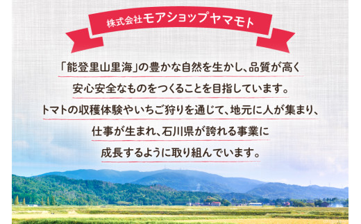 【期間限定発送】 ドライフルーツ いちじく 50g [モアショップヤマモト 石川県 宝達志水町 38601069] 無添加 ドライ イチジク 無花果 期間限定 砂糖不使用 お菓子 おつまみ 果物 フルーツ