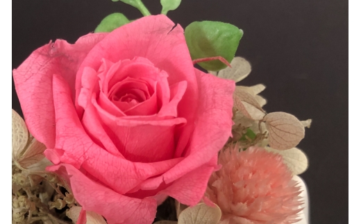 花 プリザーブドフラワー アレンジ スモール ばら1輪 紫陽花 など [littleprincess 石川県 宝達志水町 38601339] お花 プリザーブド フラワー ギフト インテリア 観賞用 小物 お花 花束 長期保存 バラ 薔薇 あじさい