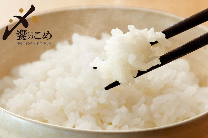 【期間限定発送】 米 令和7年 石川県産米 5kg×4種 計 20kg 精米 食べ比べ [中橋商事 石川県 宝達志水町 38601112] こしひかり コシヒカリ お米 こめ コメ 白米 ごはん 20キロ 石川
