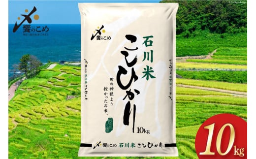米 令和7年 石川米 こしひかり 精米 10kg [中橋商事 石川県 宝達志水町 38601198] お米 こめ コメ 令和7年産 コシヒカリ 白米 ごはん ご飯 10キロ 能登 石川