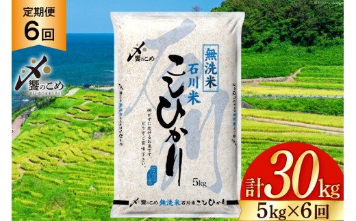 【6回 無洗米 定期便 】石川県産 こしひかり 5kg×6回 総計30kg [中橋商事 石川県 宝達志水町 38601337] 米 お米 白米 精米 ご飯 ごはん コシヒカリ