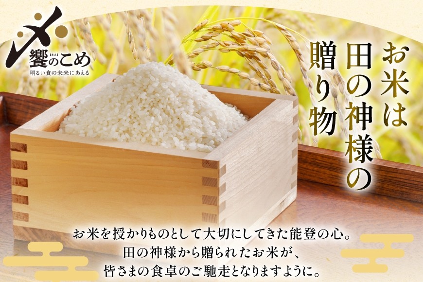 米 定期便 ひゃくまん穀 5kg × 12回 総計60kg [中橋商事株式会社 石川県 宝達志水町 38601381] お米 コメ こめ kome ごはん 定期 12ヶ月 ひゃくまんごく 5キロ 能登