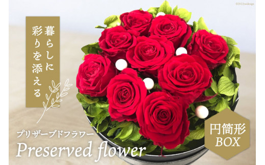 プリザーブドフラワー 円筒形BOX 花 ギフト プレゼント 贈答 母の日 [littleprincess 吉井圭香 石川県 宝達志水町 38600025]