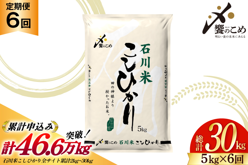 米 定期便 石川米こしひかり【穂立】5kg×6回 総計30kg [中橋商事 石川県 宝達志水町 38601131] コシヒカリ お米 コメ 6ヶ月 白米 精米 おこめ こめ 能登 5kg 5キロ