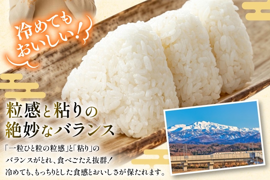 米 定期便 ひゃくまん穀 5kg × 12回 総計60kg [中橋商事株式会社 石川県 宝達志水町 38601381] お米 コメ こめ kome ごはん 定期 12ヶ月 ひゃくまんごく 5キロ 能登